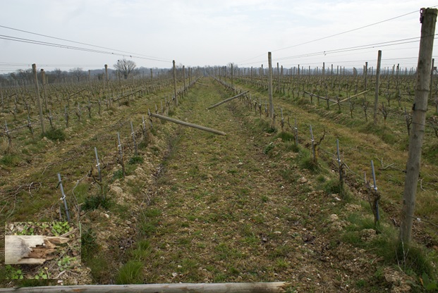 les temps et les coûts de réparation du palissage