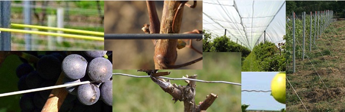 Comment choisir les fils en acier pour l'arboriculture et la viticulture - crapal 